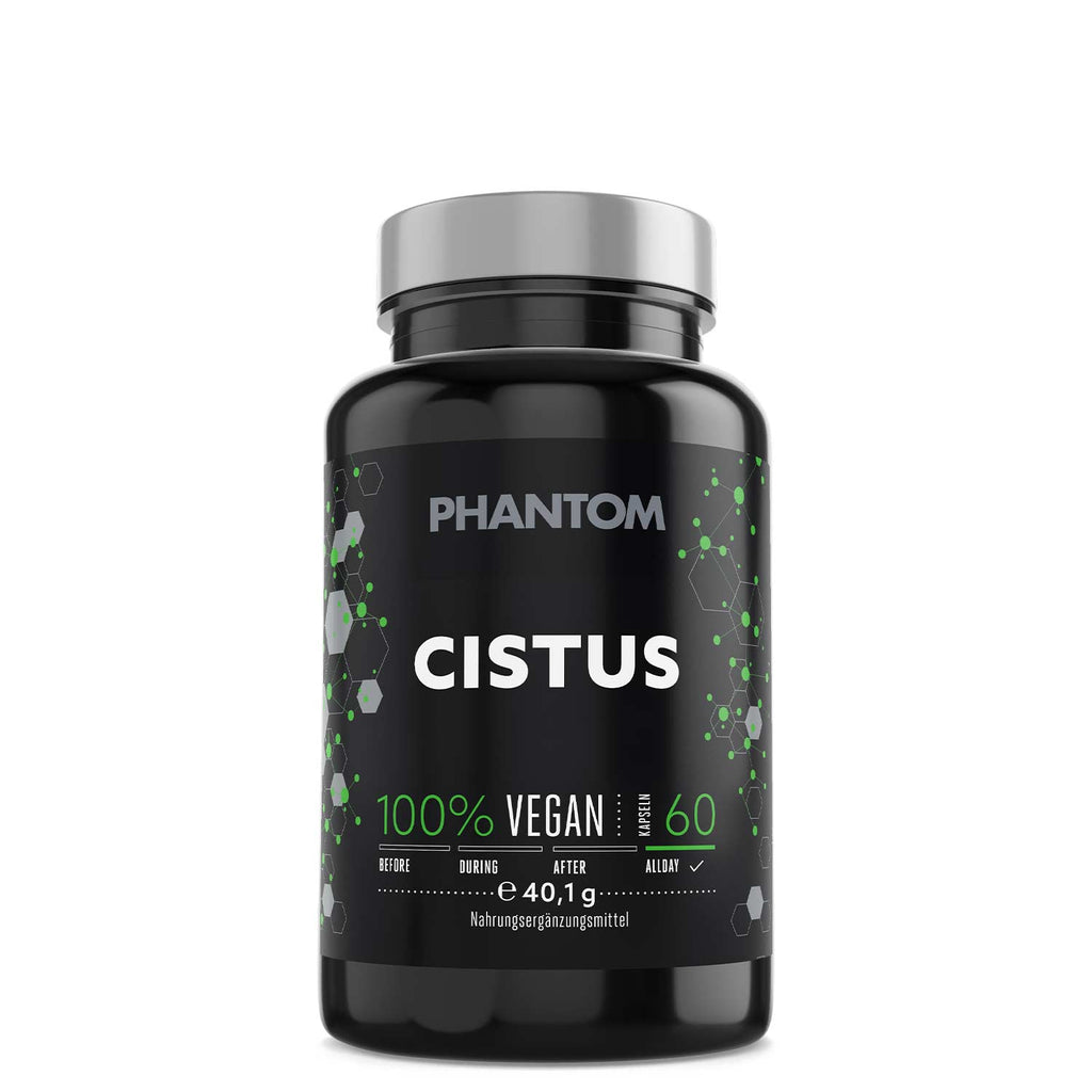 Cistus