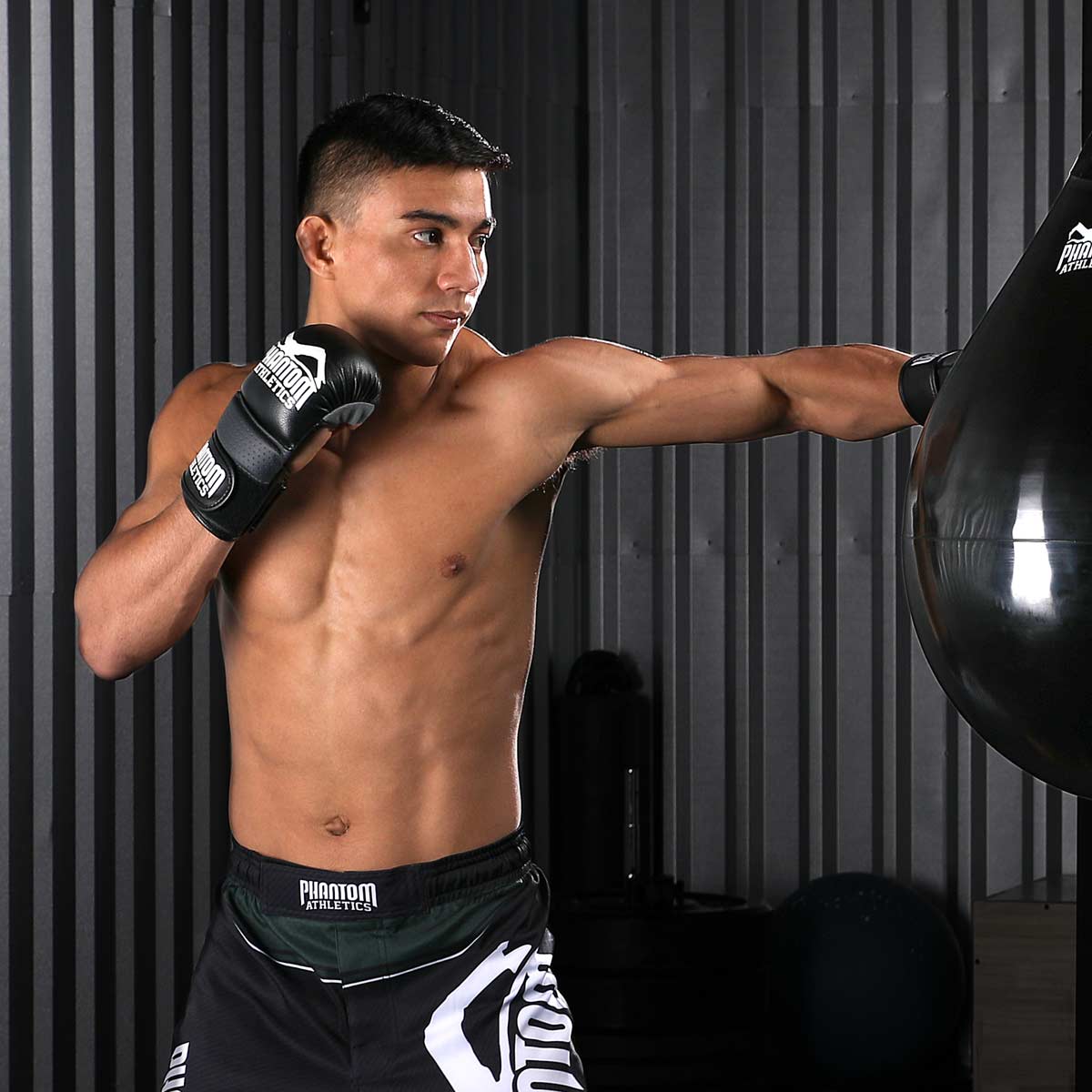 MMA Gloves Riot