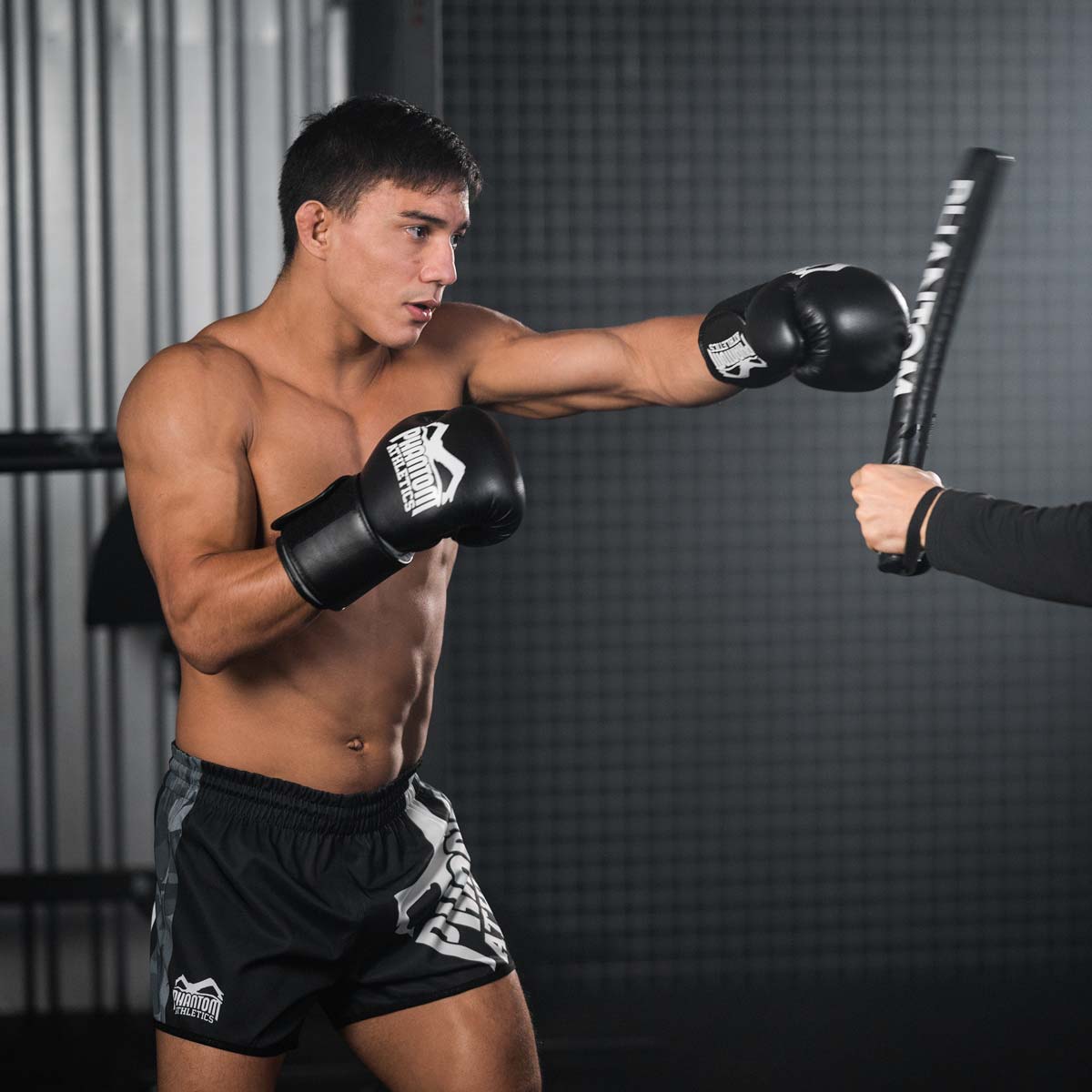 Boxing Gloves Elite ATF