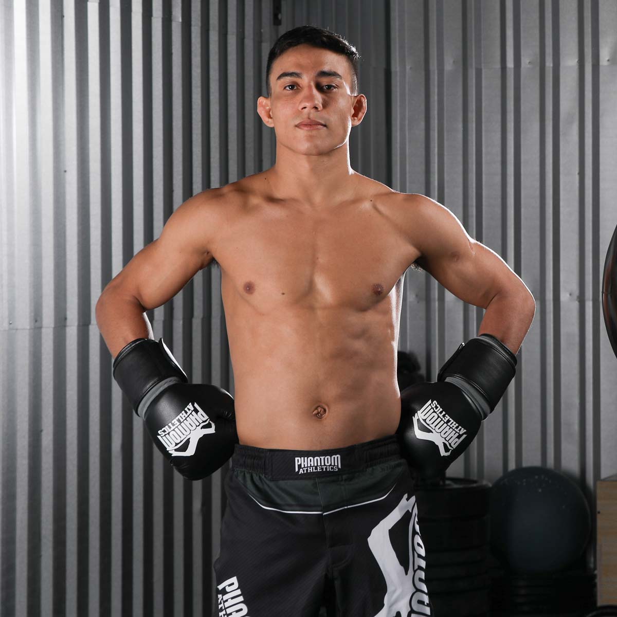 Boxing Gloves Elite ATF