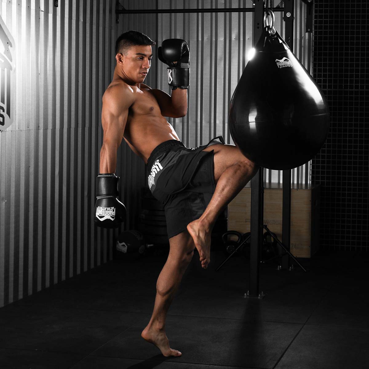 Boxing Gloves Elite ATF
